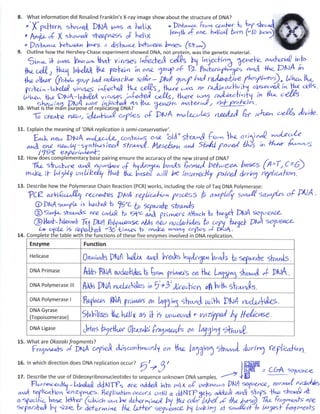 IB DNA Structure & Replication Review Key (2.6-2.7-7.1) | PDF ib-dna-structure-replication-review-key-2-6-2-7-7-1-pdf