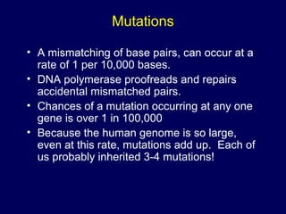 Mutations
• A mismatching of base pairs, can occur at a
rate of 1 per 10,000 bases.
• DNA polymerase proofreads and repairs
accidental mismatched pairs.
• Chances of a mutation occurring at any one
gene is over 1 in 100,000
• Because the human genome is so large,
even at this rate, mutations add up. Each of
us probably inherited 3-4 mutations!
 
