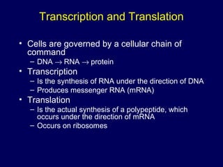 Transcription and Translation
• Cells are governed by a cellular chain of
command
– DNA → RNA → protein
• Transcription
– Is the synthesis of RNA under the direction of DNA
– Produces messenger RNA (mRNA)
• Translation
– Is the actual synthesis of a polypeptide, which
occurs under the direction of mRNA
– Occurs on ribosomes
 
