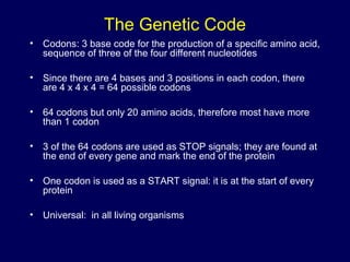 The Genetic Code
• Codons: 3 base code for the production of a specific amino acid,
sequence of three of the four different nucleotides
• Since there are 4 bases and 3 positions in each codon, there
are 4 x 4 x 4 = 64 possible codons
• 64 codons but only 20 amino acids, therefore most have more
than 1 codon
• 3 of the 64 codons are used as STOP signals; they are found at
the end of every gene and mark the end of the protein
• One codon is used as a START signal: it is at the start of every
protein
• Universal: in all living organisms
 