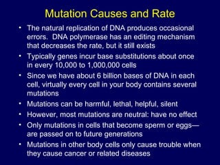 Mutation Causes and Rate
• The natural replication of DNA produces occasional
errors. DNA polymerase has an editing mechanism
that decreases the rate, but it still exists
• Typically genes incur base substitutions about once
in every 10,000 to 1,000,000 cells
• Since we have about 6 billion bases of DNA in each
cell, virtually every cell in your body contains several
mutations
• Mutations can be harmful, lethal, helpful, silent
• However, most mutations are neutral: have no effect
• Only mutations in cells that become sperm or eggs—
are passed on to future generations
• Mutations in other body cells only cause trouble when
they cause cancer or related diseases
 