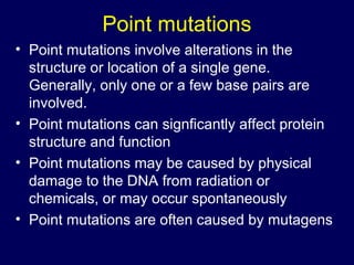 Point mutations
• Point mutations involve alterations in the
structure or location of a single gene.
Generally, only one or a few base pairs are
involved.
• Point mutations can signficantly affect protein
structure and function
• Point mutations may be caused by physical
damage to the DNA from radiation or
chemicals, or may occur spontaneously
• Point mutations are often caused by mutagens
 