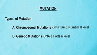 Mutations Description DNA Structure, Replication Variation -PPT.pptx