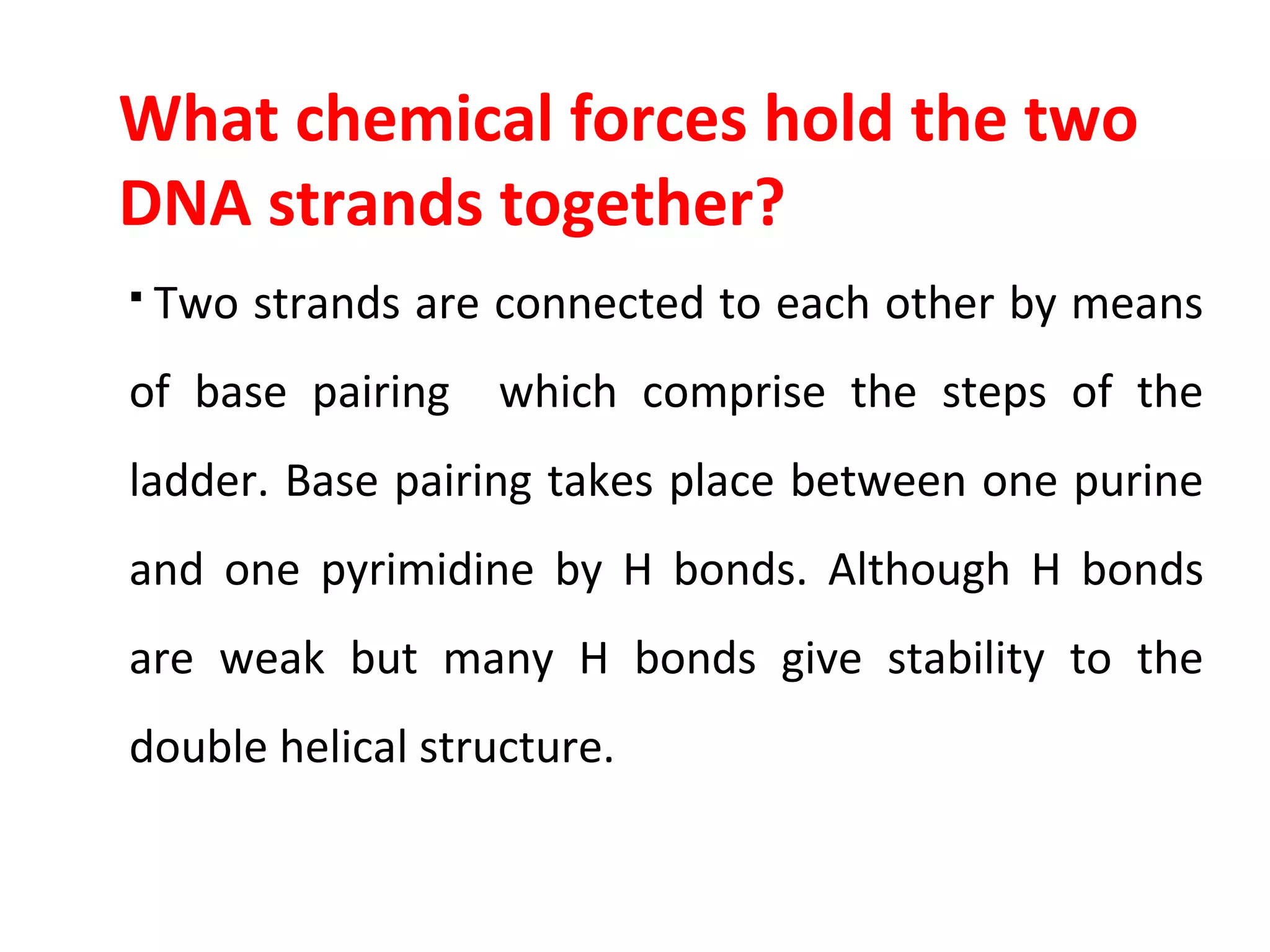 What chemical forces hold the two
DNA strands together?
 Two strands are connected to each other by means
of base pairing which comprise the steps of the
ladder. Base pairing takes place between one purine
and one pyrimidine by H bonds. Although H bonds
are weak but many H bonds give stability to the
double helical structure.
 