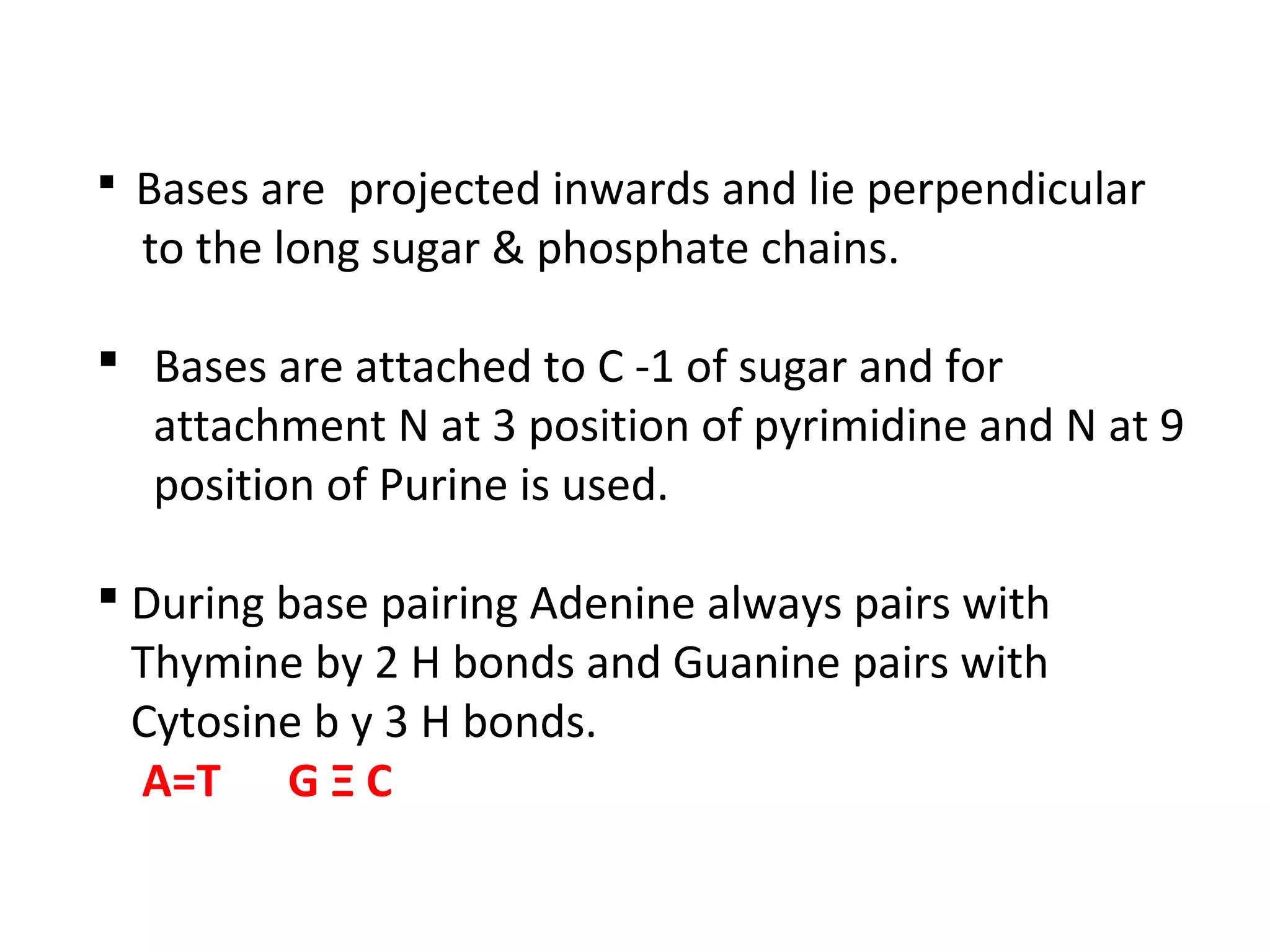  Bases are projected inwards and lie perpendicular
to the long sugar & phosphate chains.
 Bases are attached to C -1 of sugar and for
attachment N at 3 position of pyrimidine and N at 9
position of Purine is used.
 During base pairing Adenine always pairs with
Thymine by 2 H bonds and Guanine pairs with
Cytosine b y 3 H bonds.
A=T G Ξ C
 