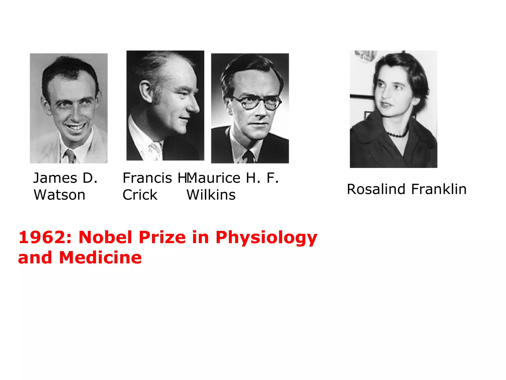 1962: Nobel Prize in Physiology
and Medicine
James D.
Watson
Francis H.
Crick
Maurice H. F.
Wilkins Rosalind Franklin
 