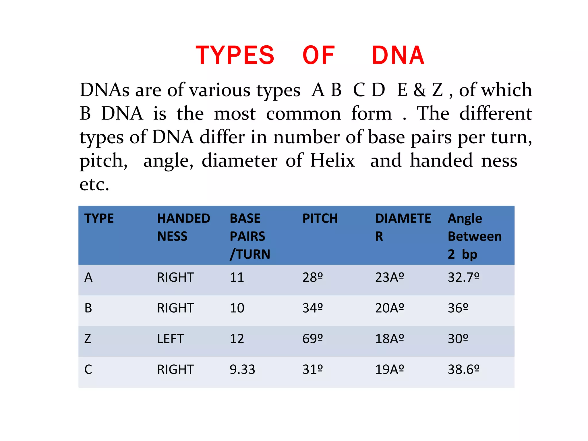 DNAs are of various types A B C D E & Z , of which
B DNA is the most common form . The different
types of DNA differ in number of base pairs per turn,
pitch, angle, diameter of Helix and handed ness
etc.
TYPE HANDED
NESS
BASE
PAIRS
/TURN
PITCH DIAMETE
R
Angle
Between
2 bp
A RIGHT 11 28º 23Aº 32.7º
B RIGHT 10 34º 20Aº 36º
Z LEFT 12 69º 18Aº 30º
C RIGHT 9.33 31º 19Aº 38.6º
TYPES OF DNA
 