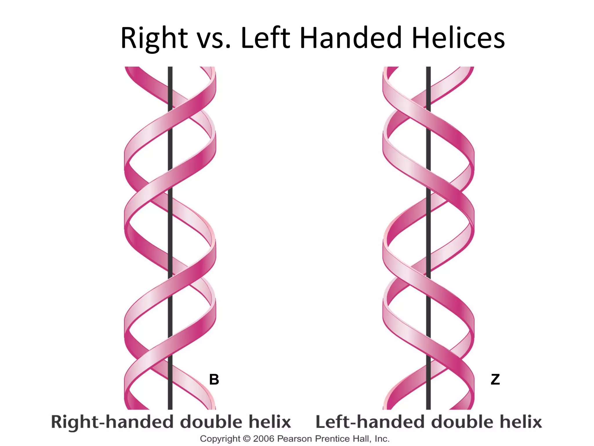 Right vs. Left Handed Helices
B Z
 