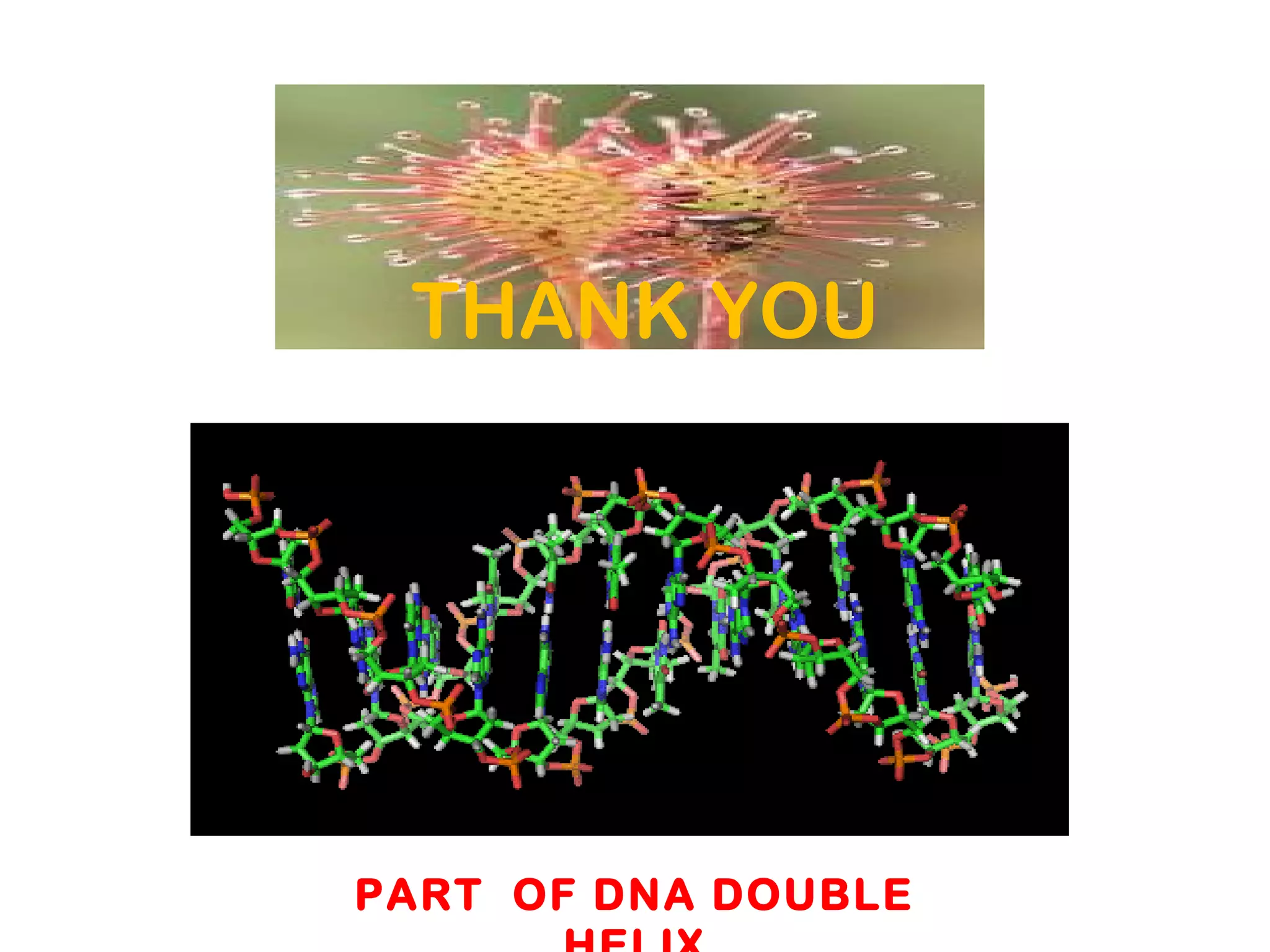 PART OF DNA DOUBLE
THANK YOU
 