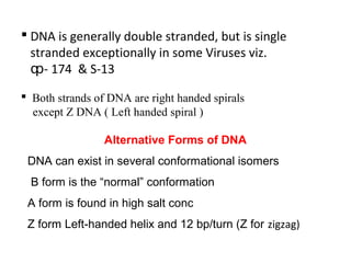 DFFERENCES BETWEEN DNA AND RNA
S N DNA RNA
1 DNA is polymer of
Deoxyribonucleotides
RNA is polymer of
Ribonucleotides
2 DN...