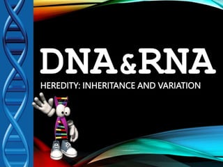 DNA&RNA
HEREDITY: INHERITANCE AND VARIATION
 