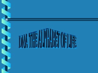 DNA THE ALPHABET OF LIFE 