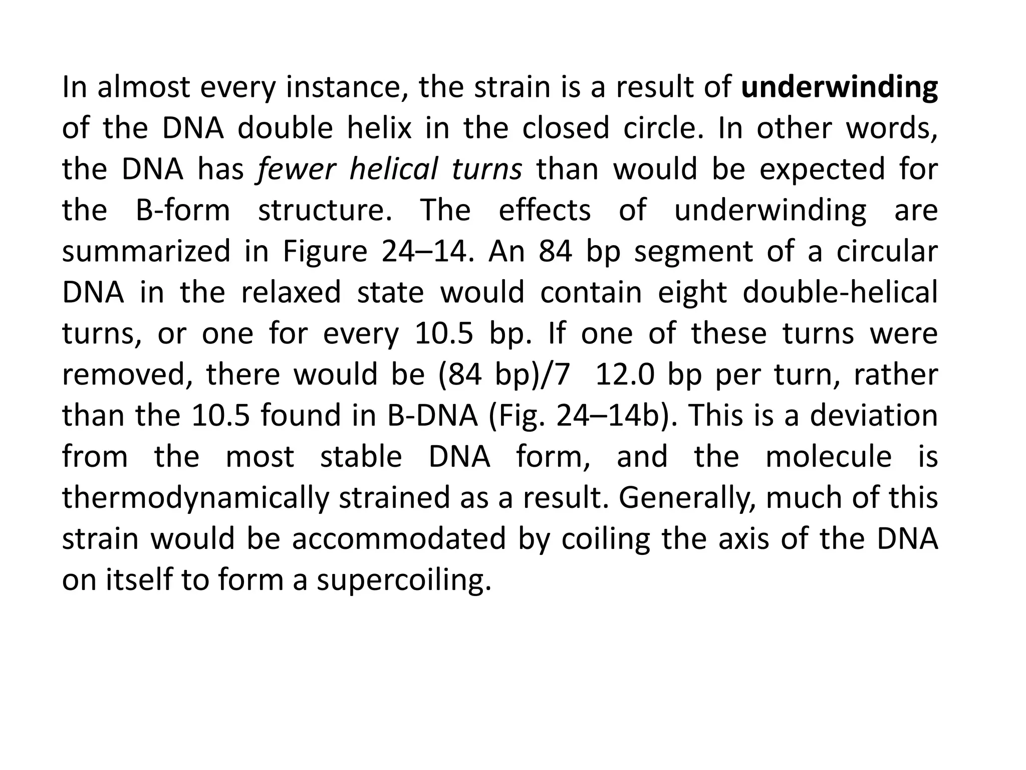In almost every instance, the strain is a result of underwinding
of the DNA double helix in the closed circle. In other words,
the DNA has fewer helical turns than would be expected for
the B-form structure. The effects of underwinding are
summarized in Figure 24–14. An 84 bp segment of a circular
DNA in the relaxed state would contain eight double-helical
turns, or one for every 10.5 bp. If one of these turns were
removed, there would be (84 bp)/7 12.0 bp per turn, rather
than the 10.5 found in B-DNA (Fig. 24–14b). This is a deviation
from the most stable DNA form, and the molecule is
thermodynamically strained as a result. Generally, much of this
strain would be accommodated by coiling the axis of the DNA
on itself to form a supercoiling.
 