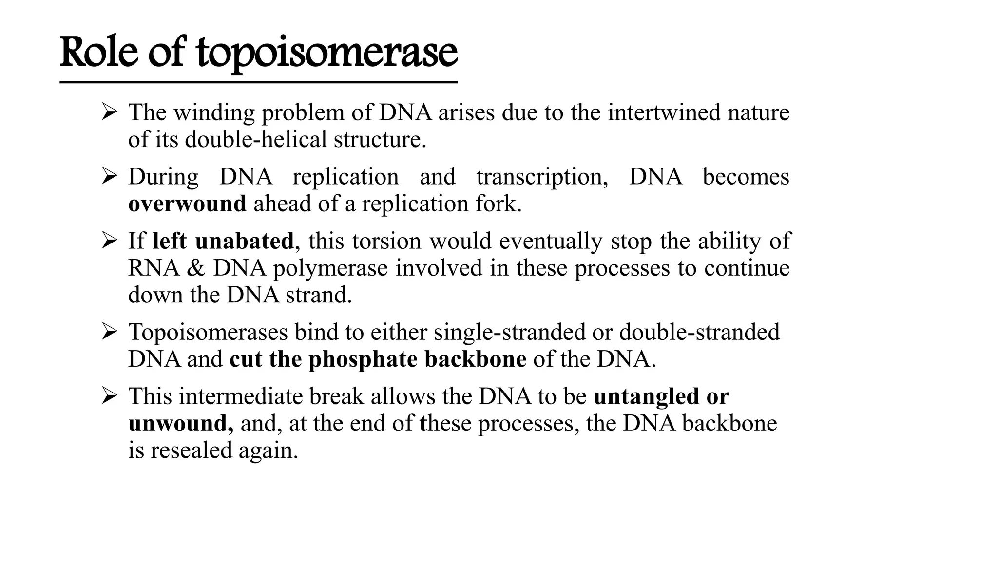 Dna supercoiling and role of topoisomerases | PPTX