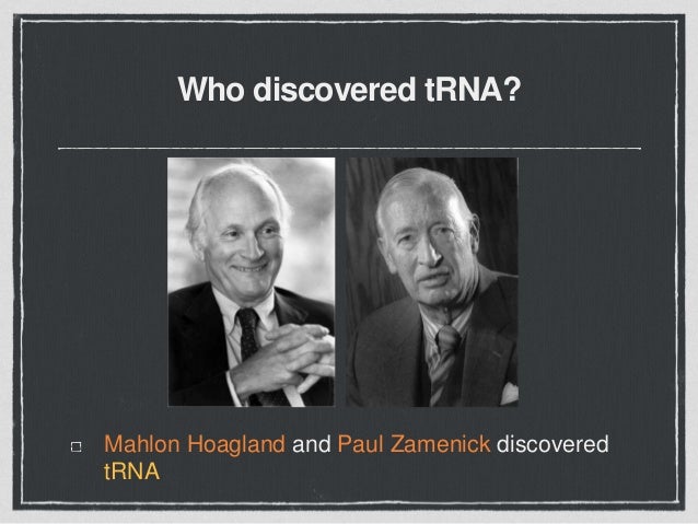 Who discovered the ribosomes