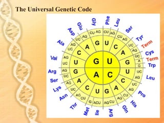 DNA for Middle School Science | PPT