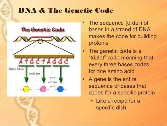 DNA for Middle School Science