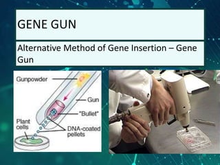 GENE GUN
Alternative Method of Gene Insertion – Gene
Gun
11
 