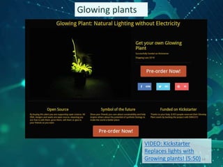 Glowing plants
VIDEO: Kickstarter
Replaces lights with
Growing plants! (5:50) 14
 