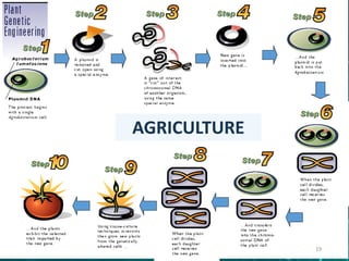 AGRICULTURE
19
 
