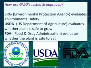 How are GMO’s tested & approved?
EPA- (Environmental Protection Agency) evaluates
environmental safety
USDA- (US Department of Agriculture) evaluates
whether plant is safe to grow
FDA- (Food & Drug Administration) evaluates
whether the plant is safe to eat
23
 