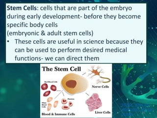 Stem Cells: cells that are part of the embryo
during early development- before they become
specific body cells
(embryonic & adult stem cells)
• These cells are useful in science because they
can be used to perform desired medical
functions- we can direct them
VIDEO: What are
stem cells? TED Ed
(4 min) 35
 