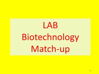 LAB
Biotechnology
Match-up
40
 