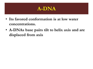A-DNA
• Its favored conformation is at low water
concentrations.
• A-DNAs base pairs tilt to helix axis and are
displaced from axis
 