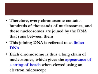 • Therefore, every chromosome contains
hundreds of thousands of nucleosomes, and
these nucleosomes are joined by the DNA
that runs between them
• This joining DNA is referred to as linker
DNA
• Each chromosome is thus a long chain of
nucleosomes, which gives the appearance of
a string of beads when viewed using an
electron microscope
 