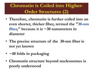 Chromatin is Coiled into Higher-
Order Structures (2)
• Therefore, chromatin is further coiled into an
even shorter, thicker fiber, termed the "30-nm
fiber," because it is ~30 nanometers in
diameter
• The precise structure of the 30-nm fiber is
not yet known
• ~40 folds in packaging
• Chromatin structure beyond nucleosomes is
poorly understood
 