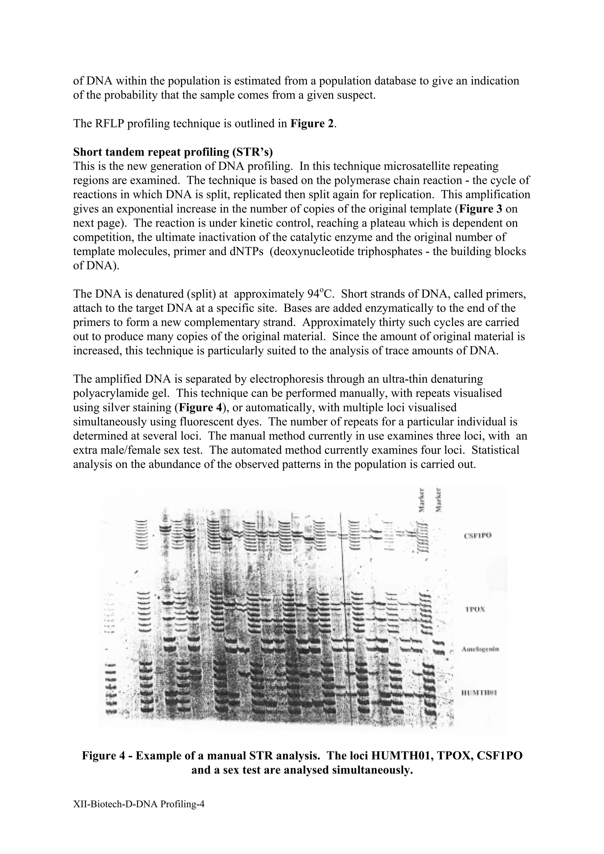 of DNA within the population is estimated from a population database to give an indication
of the probability that the sample comes from a given suspect.

The RFLP profiling technique is outlined in Figure 2.

Short tandem repeat profiling (STR’s)
This is the new generation of DNA profiling. In this technique microsatellite repeating
regions are examined. The technique is based on the polymerase chain reaction - the cycle of
reactions in which DNA is split, replicated then split again for replication. This amplification
gives an exponential increase in the number of copies of the original template (Figure 3 on
next page). The reaction is under kinetic control, reaching a plateau which is dependent on
competition, the ultimate inactivation of the catalytic enzyme and the original number of
template molecules, primer and dNTPs (deoxynucleotide triphosphates - the building blocks
of DNA).

The DNA is denatured (split) at approximately 94oC. Short strands of DNA, called primers,
attach to the target DNA at a specific site. Bases are added enzymatically to the end of the
primers to form a new complementary strand. Approximately thirty such cycles are carried
out to produce many copies of the original material. Since the amount of original material is
increased, this technique is particularly suited to the analysis of trace amounts of DNA.

The amplified DNA is separated by electrophoresis through an ultra-thin denaturing
polyacrylamide gel. This technique can be performed manually, with repeats visualised
using silver staining (Figure 4), or automatically, with multiple loci visualised
simultaneously using fluorescent dyes. The number of repeats for a particular individual is
determined at several loci. The manual method currently in use examines three loci, with an
extra male/female sex test. The automated method currently examines four loci. Statistical
analysis on the abundance of the observed patterns in the population is carried out.




 Figure 4 - Example of a manual STR analysis. The loci HUMTH01, TPOX, CSF1PO
                     and a sex test are analysed simultaneously.

XII-Biotech-D-DNA Profiling-4
 