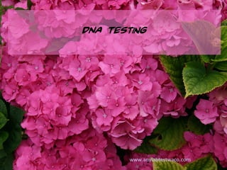 DNA Testing
www.anylabtestwaco.com
 