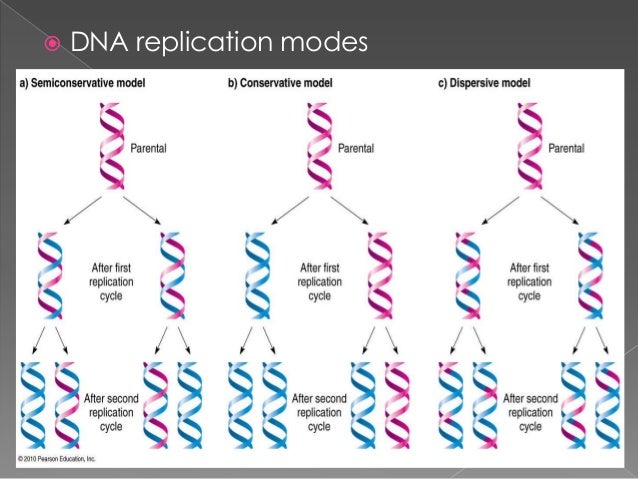 DNA the carrier of genetic information