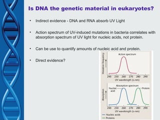 DNA the code of life. Deoxy Ribo Nucleic Acid | PPT