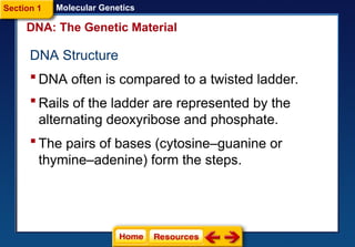 DNA the genetic material (1).pptdddddddddddddddddd | PPT