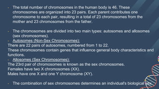 DNA_ The Human Body Recipe by Slidesgo.pptx