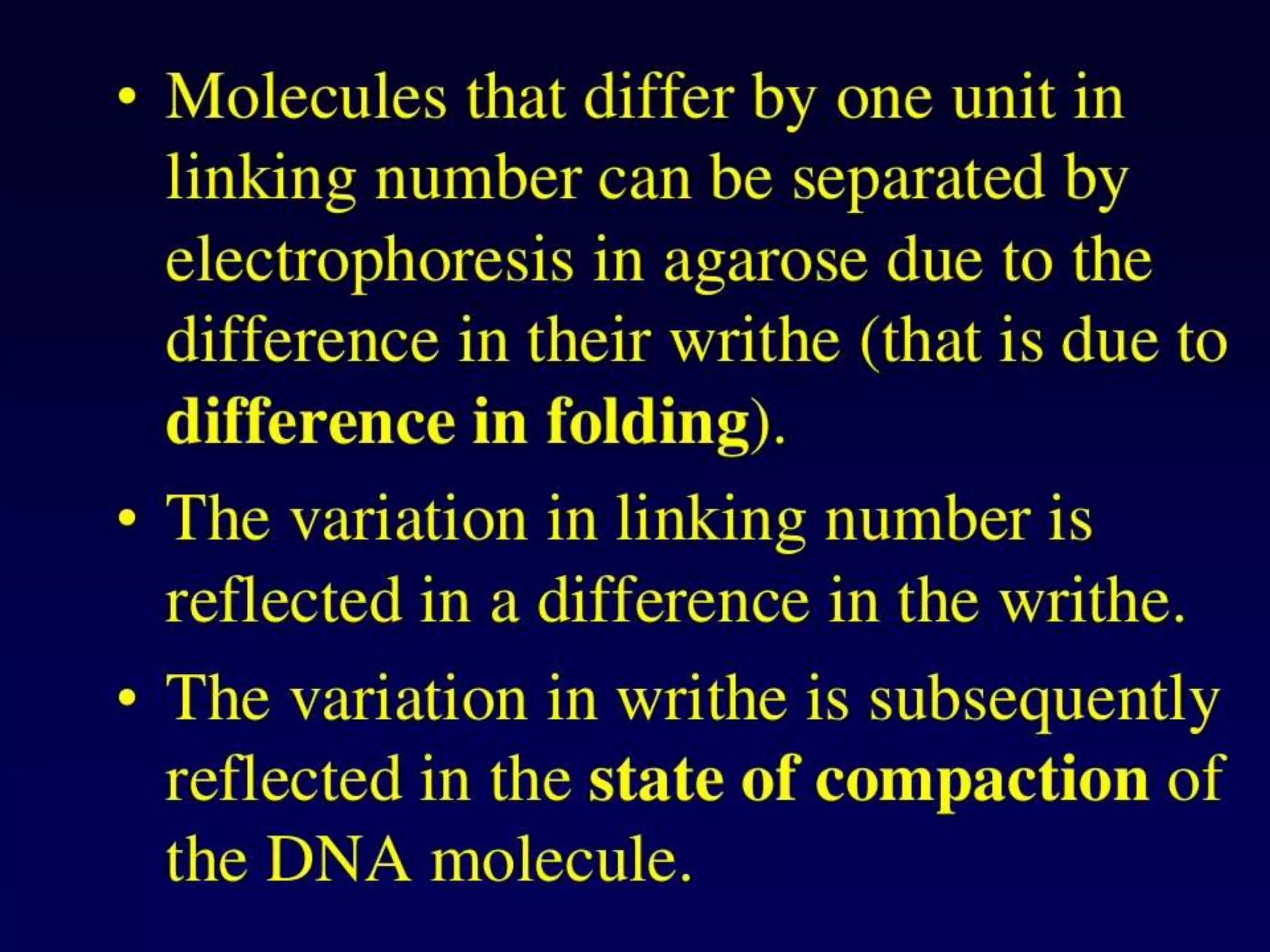 Dna topology | PPTX