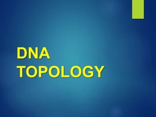 DNA
TOPOLOGY
 
