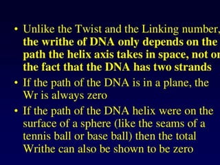 Dna topology