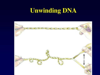 Dna topology