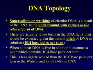 Dna topology