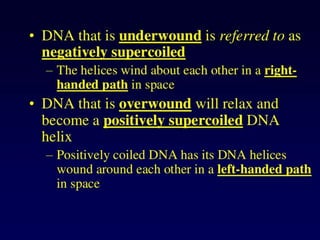 Dna topology