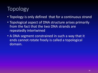 Dna topology | PPTX