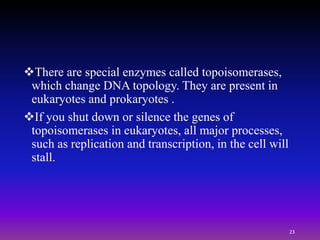 CONCLUSION
• DNA is the source of genetic information in most
living organisms.
• It has different structures and differen...