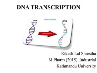 DNA TRANSCRIPTION
Rikesh Lal Shrestha
M.Pharm (2015), Industrial
Kathmandu University
 