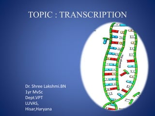 TOPIC : TRANSCRIPTION
Dr. Shree Lakshmi.BN
1yr MvSc
Dept.VPT
LUVAS,
Hisar,Haryana
 