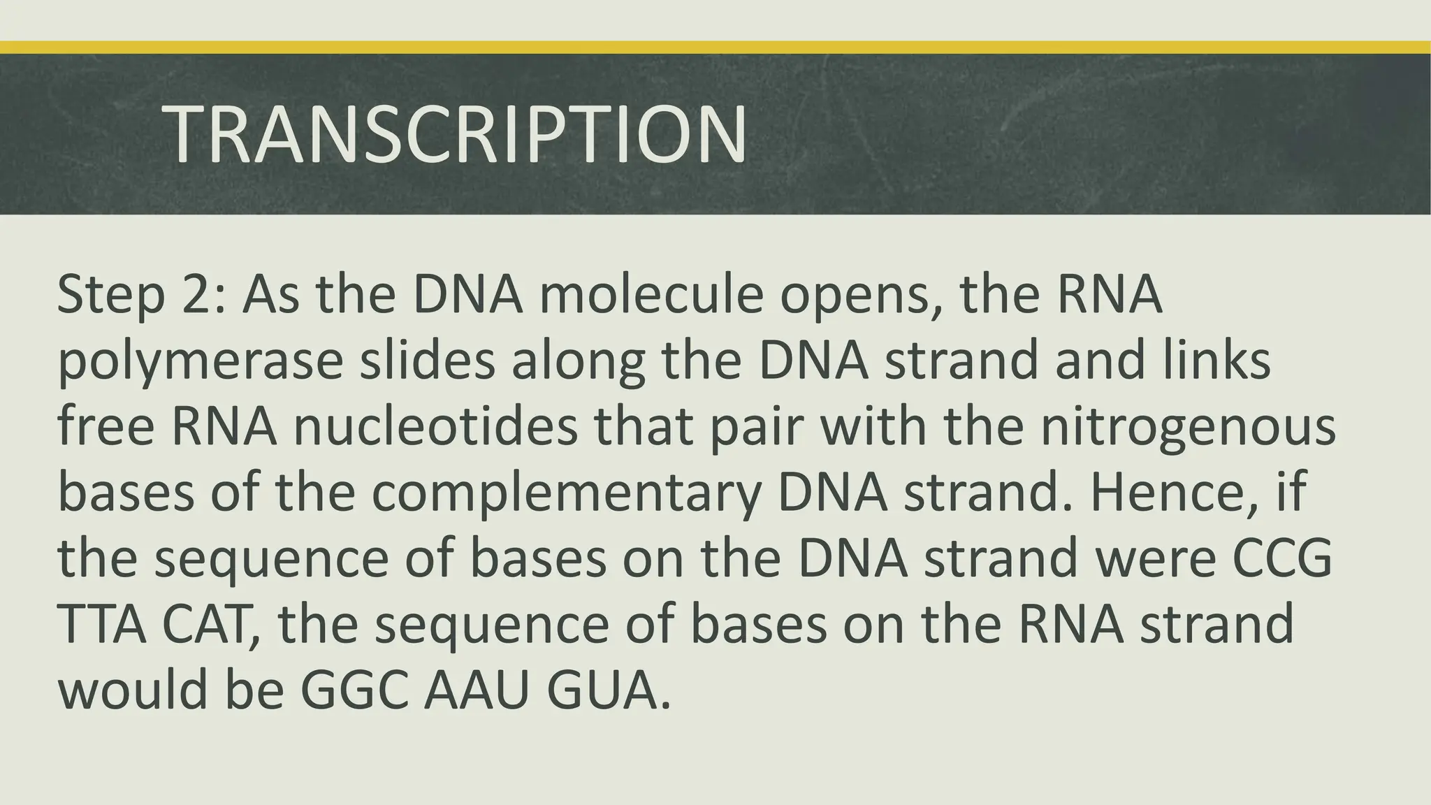 DNA TRANSCRIPTION GRADE 10 SCIENCE..pptx