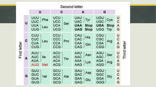 DNA TRANSCRIPTION GRADE 10 SCIENCE..pptx