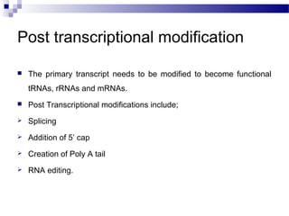 DNA transcription & Post Transcriptional Modification | PPT