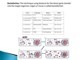 Bactofection: The technique using bacteria for the direct gene transfer
into the target organism, organ or tissue is called bactofection
 